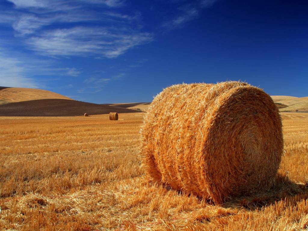 Hay Bale High Resolution Wallpaper Hd Wallpapers