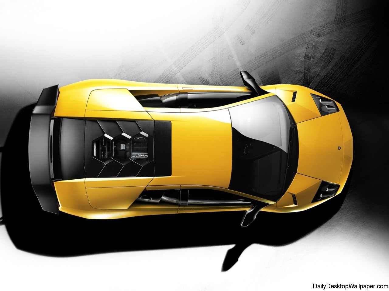 Lamborghini murcielago lp  superveloce top wallpaper