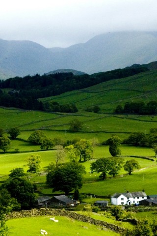 country wallpaper for iphone