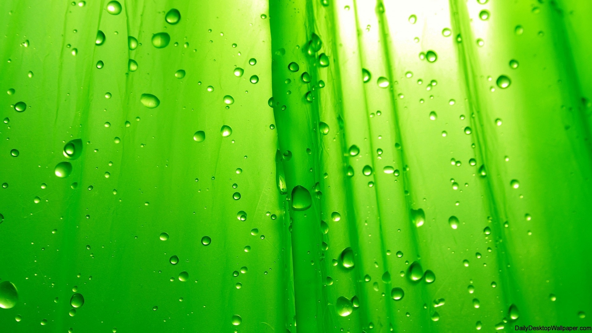 Green Raindrop Wallpaper
