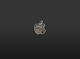 Internal hardware apple logo