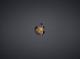 Dark OS X Lion Wallpaper