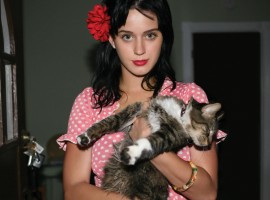 Katy Perry and cat wallpaper