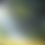 Blurred HD Wallpaper