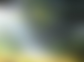 Blurred HD Wallpaper