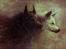 A Burst of Wolves