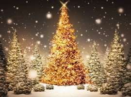 Beautiful Christmas Trees Wallpaper
