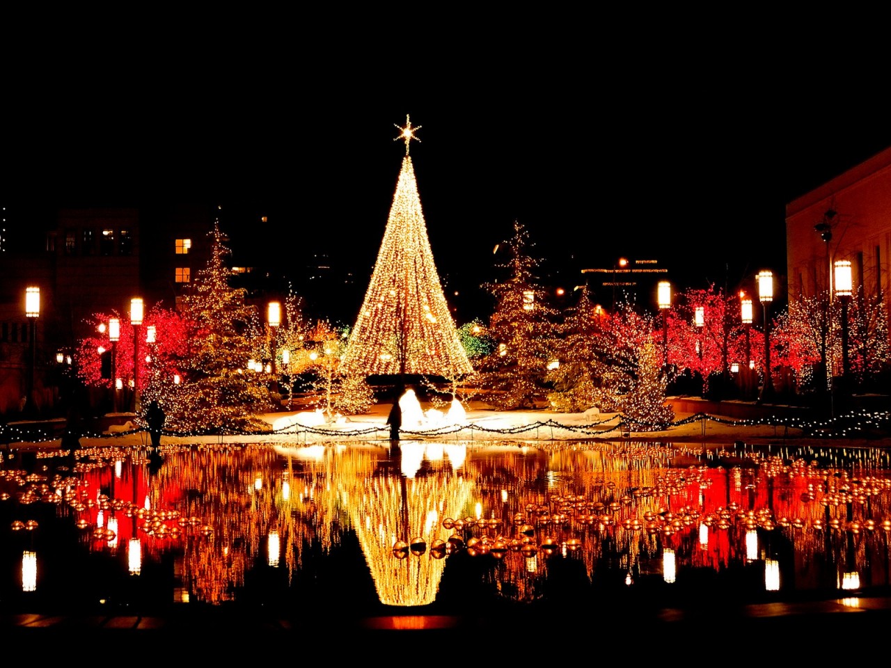 Magical Reflective Christmas Tree Wallpaper - High ...