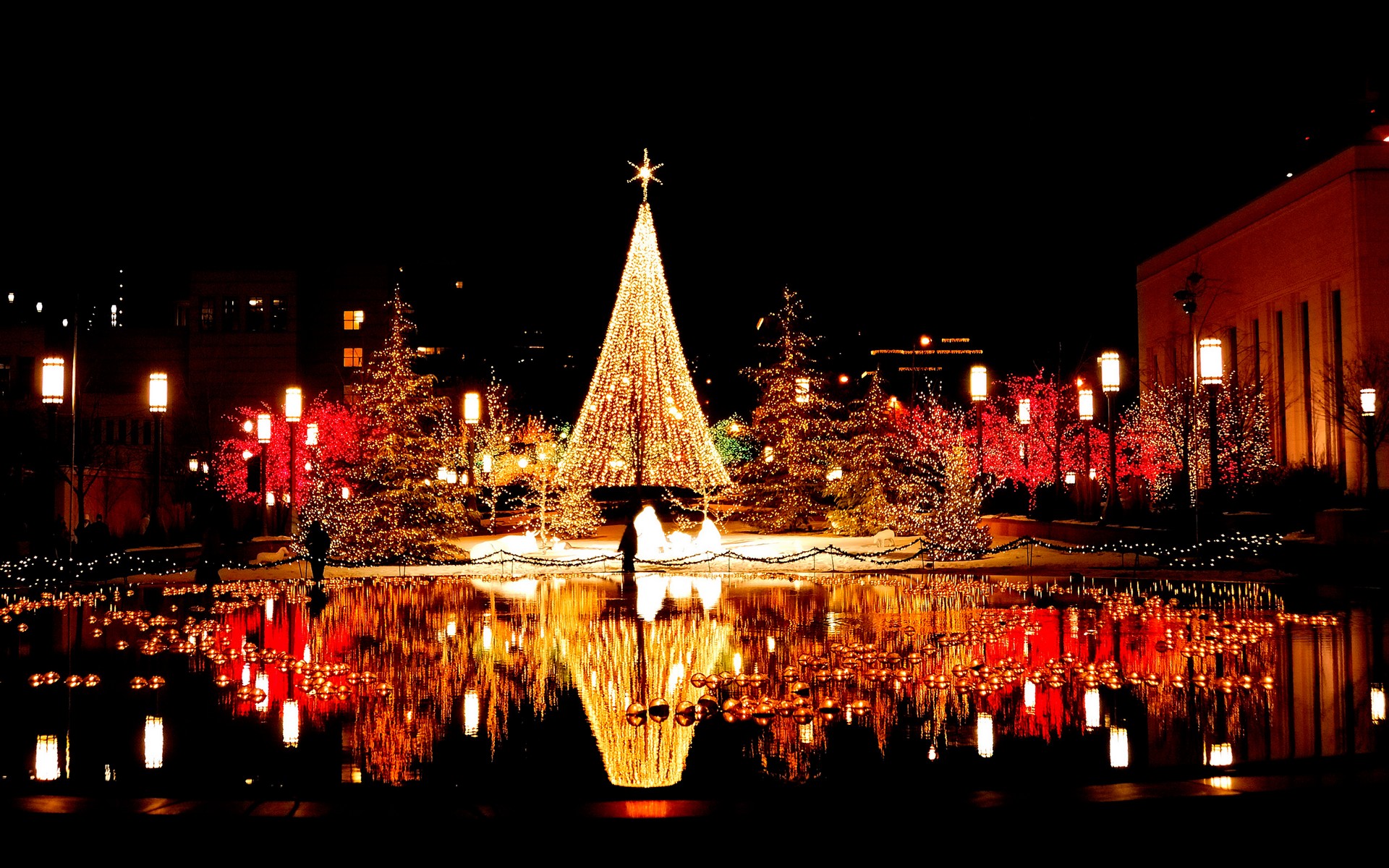 Magical Reflective Christmas Tree Wallpaper