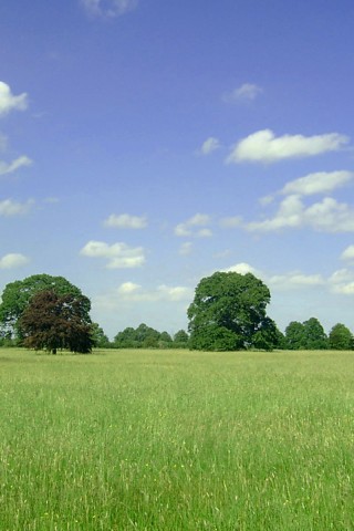 pic of beautiful scenery download