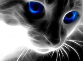 Abstract Special Effect Cat