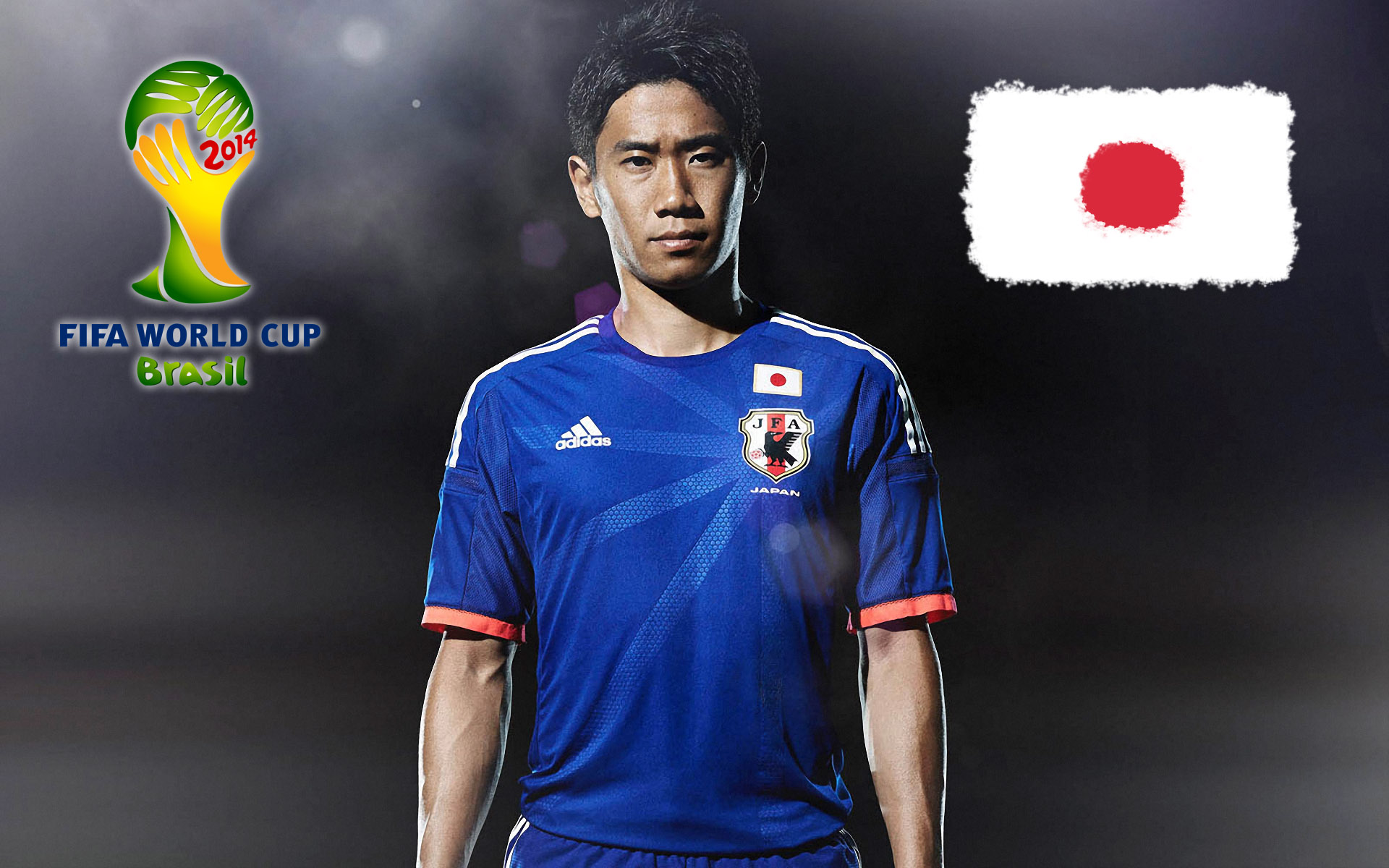 Group C Japan – 2014 World Cup