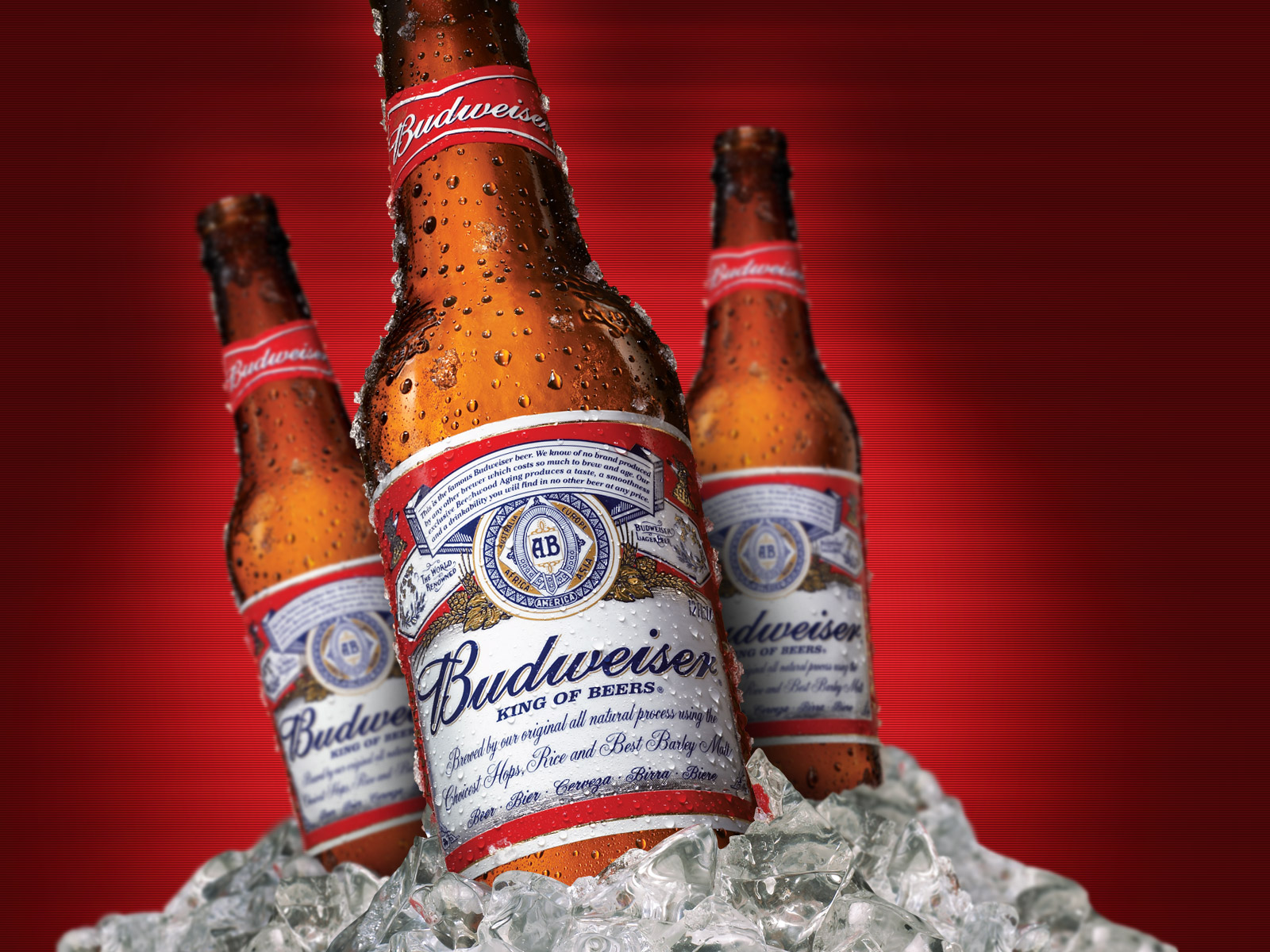 Ice Cold Budweiser