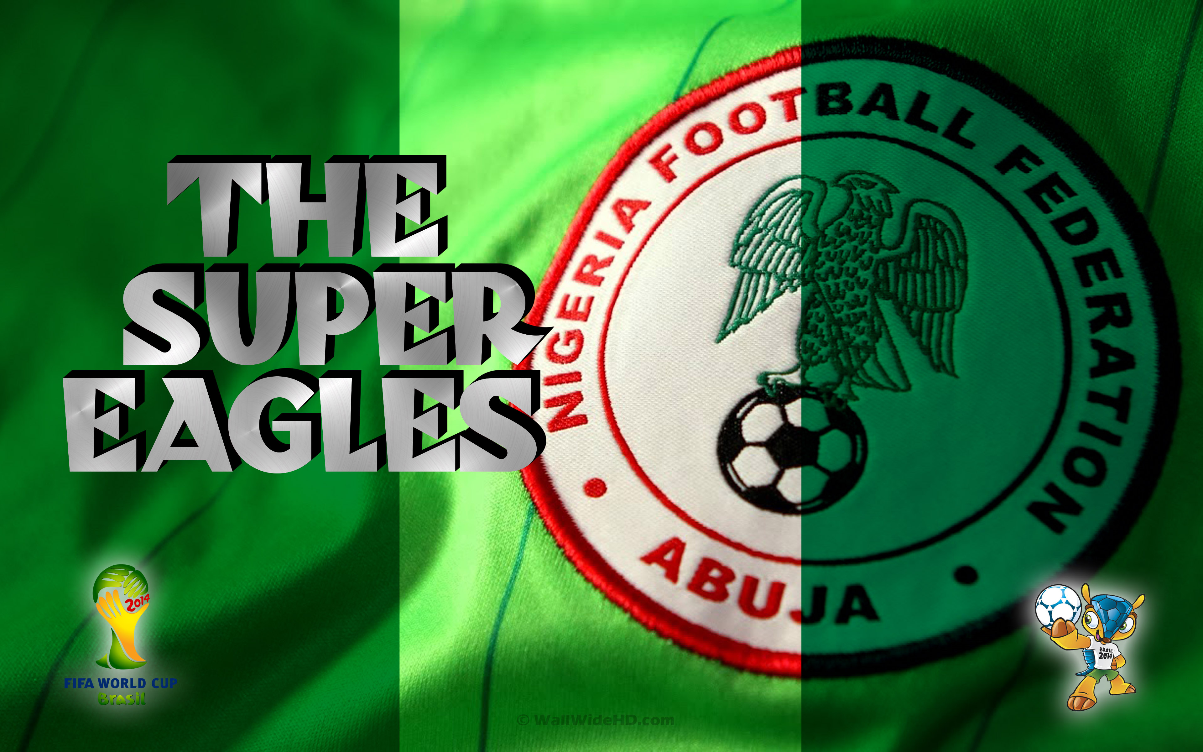 Nigeria 2014 World Cup