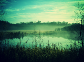 Misty Green Secluded Lake