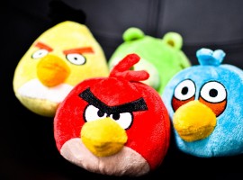 Plush Angry Birds Wallpaper