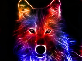 Light Effect Wolf