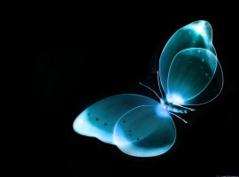 Visual Effect Blue Butterfly