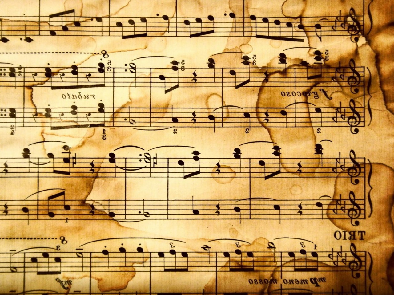 Music Notes Fabric Wallpaper and Home Decor  Spoonflower