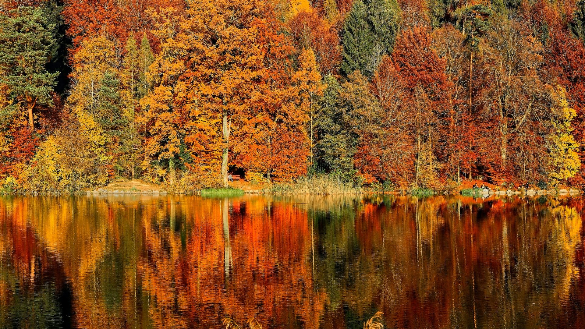 Autumn Scene Across a Lake - High Definition, High Resolution HD ...