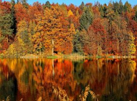 Autumn Scene Across a Lake