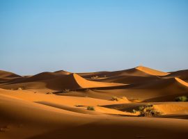 Insightful Contemplations with Desert Landscape
